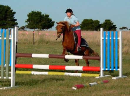Saddle On Riding School - Find Attractions 5