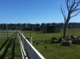 Saddle On Riding School - Find Attractions 6