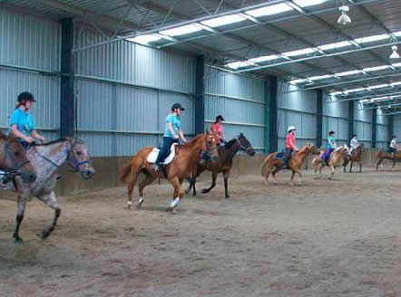 Saddle On Riding School - Find Attractions 7