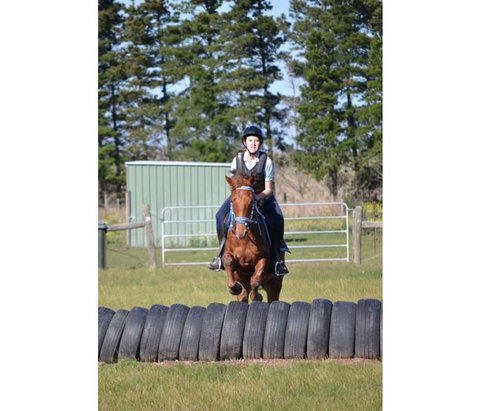 Saddle On Riding School - Find Attractions 9