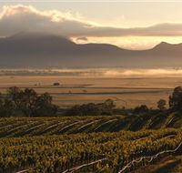 Montara Wines - Find Attractions
