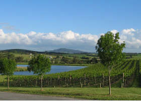Yarrawood Estate - Find Attractions 0