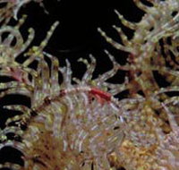 Point Danger Marine Sanctuary - Find Attractions