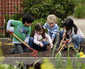 The Ian Potter Foundation Children's Garden - Find Attractions 0