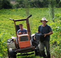 Kellybrook Winery  Kelly Brothers Cider - Find Attractions