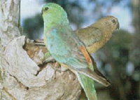 Book Rainbow Accommodation Vacations Find Attractions Find Attractions