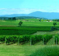 Acacia Ridge Vineyard - Find Attractions