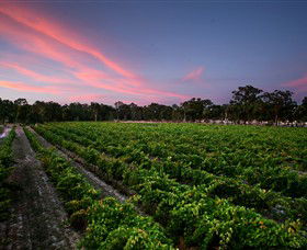 Amherst Winery - Find Attractions 0