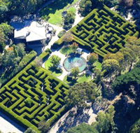 Ashcombe Maze  Lavender Gardens - Find Attractions