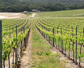 M Chapoutier Australia - Find Attractions 0