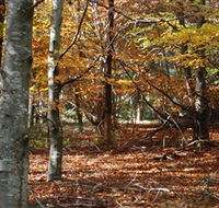RJ Hamer Arboretum - Find Attractions