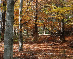 RJ Hamer Arboretum - Find Attractions 0
