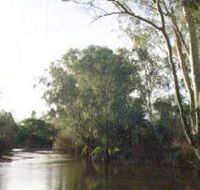 Banksia Park - Find Attractions
