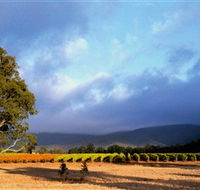 Mount Avoca - Find Attractions