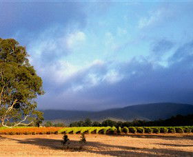 Mount Avoca - Find Attractions 0