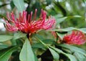 Alfred National Park - Find Attractions 0