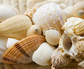 Anglesea Beach Club - Find Attractions 0