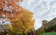 Beechworth Historic And Cultural Precinct - thumb 0