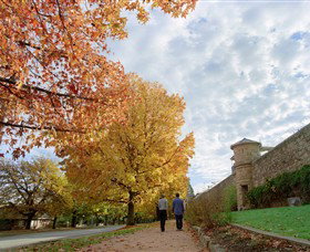 Beechworth Historic And Cultural Precinct - Find Attractions 0