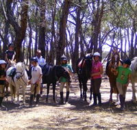 Bellarine Horse Riding Centre - Find Attractions
