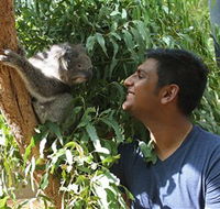 Healesville Sanctuary - Find Attractions