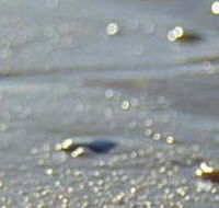 Cape Liptrap Coastal Park - Find Attractions