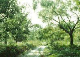 Rosedale VIC Find Attractions