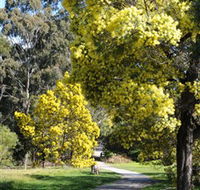 Wattle Park - Find Attractions