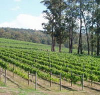 Piedmont Vineyard - Find Attractions