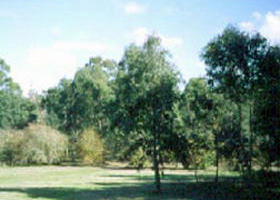 Sweeneys Flat - Find Attractions 0