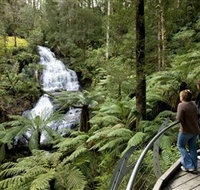 Great Otway National Park - Find Attractions
