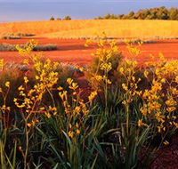 Royal Botanic Gardens Victoria Cranbourne - Find Attractions
