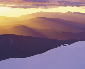 Alpine National Park - Find Attractions 0
