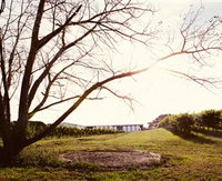 Scotchmans Hill