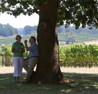 Five Oaks Vineyard - Find Attractions