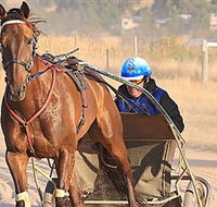 Ballarat  District Trotting Club - Find Attractions