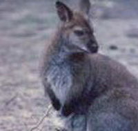 Churchill National Park - Find Attractions