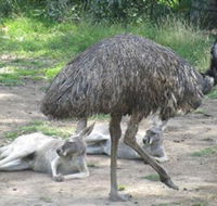 Bundoora Park - Find Attractions