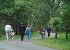 Birrarrung Park Bulleen