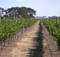 Mount Beckworth Wines - Find Attractions