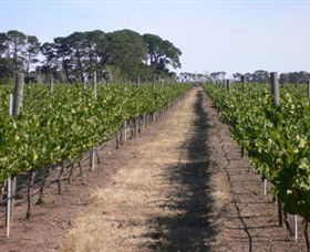 Mount Beckworth Wines - Find Attractions 0