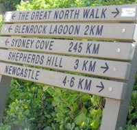 Great North Walk - Find Attractions