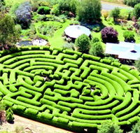 Wandiligong Maze - Find Attractions