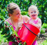 Cherryhill Orchards - Find Attractions