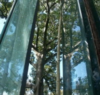 Sydney Sculpture Walk - Find Attractions