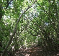 Eucalypt Trail - Find Attractions
