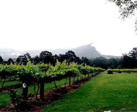 Cambewarra Estate Wines - Find Attractions 0
