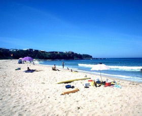 Culburra Surf Beach - Find Attractions 0