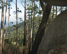 Gulaga National Park Tilba Tilba