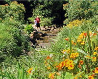 Bonaira Native Gardens